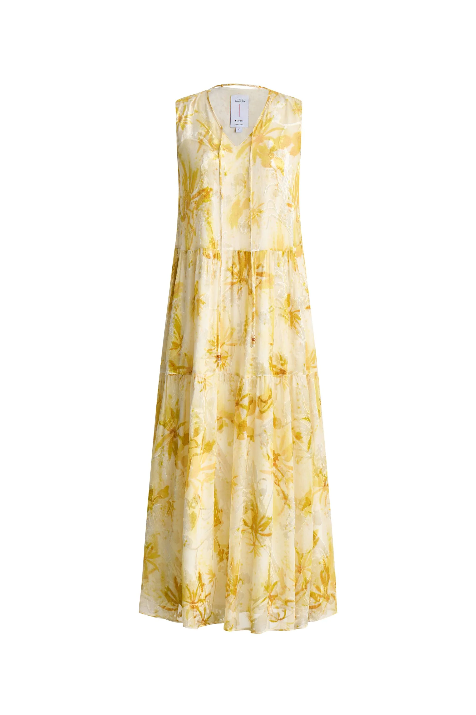 Amelia Sleeveless Maxi Dress in Burnout Silk Georgette - Image 11