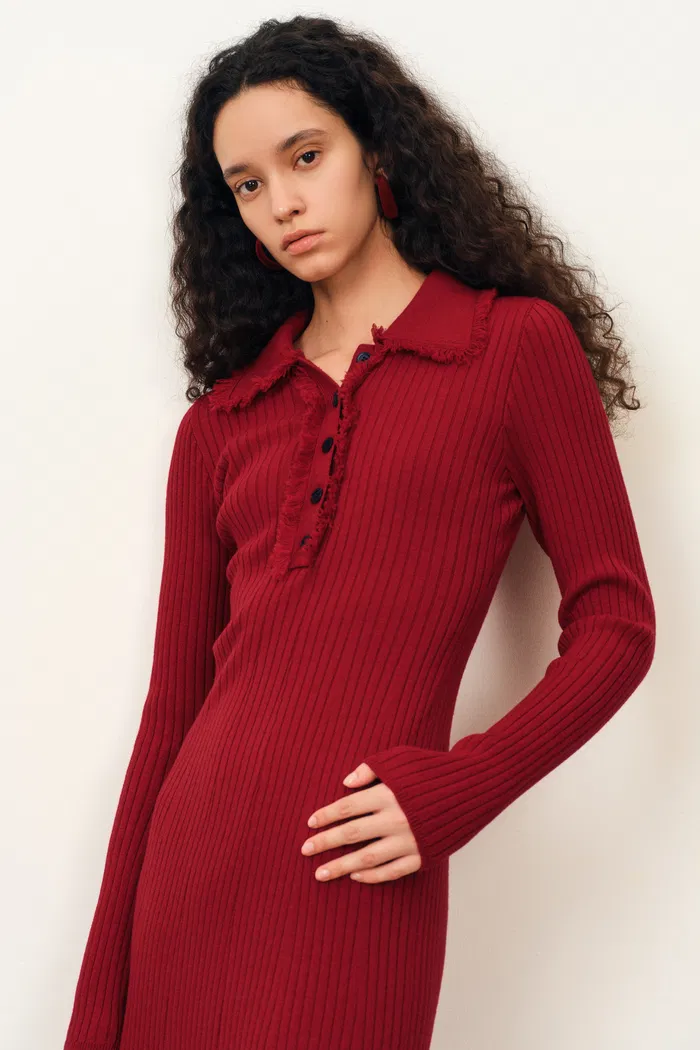Anja Long Sleeve Dress in Merino Wool Knit - Image 4