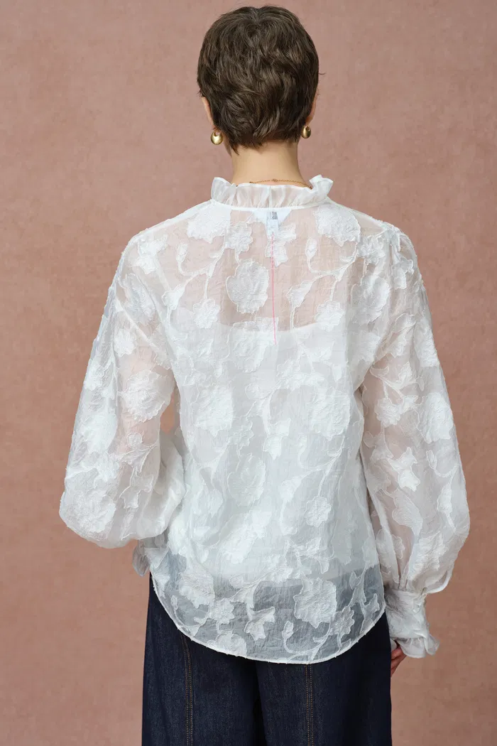 Cecilia Ruffle V Neck Blouse in Burnout chiffon - Image 5