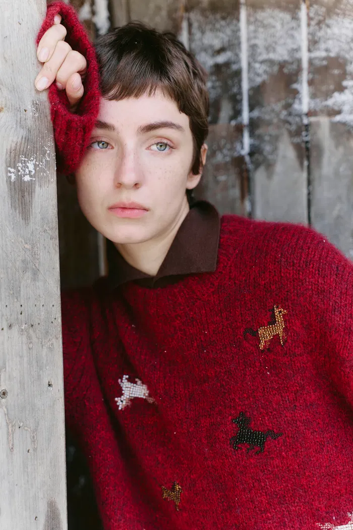Tesoro Pony Sweater in Merino-Mohair Blend - Image 5